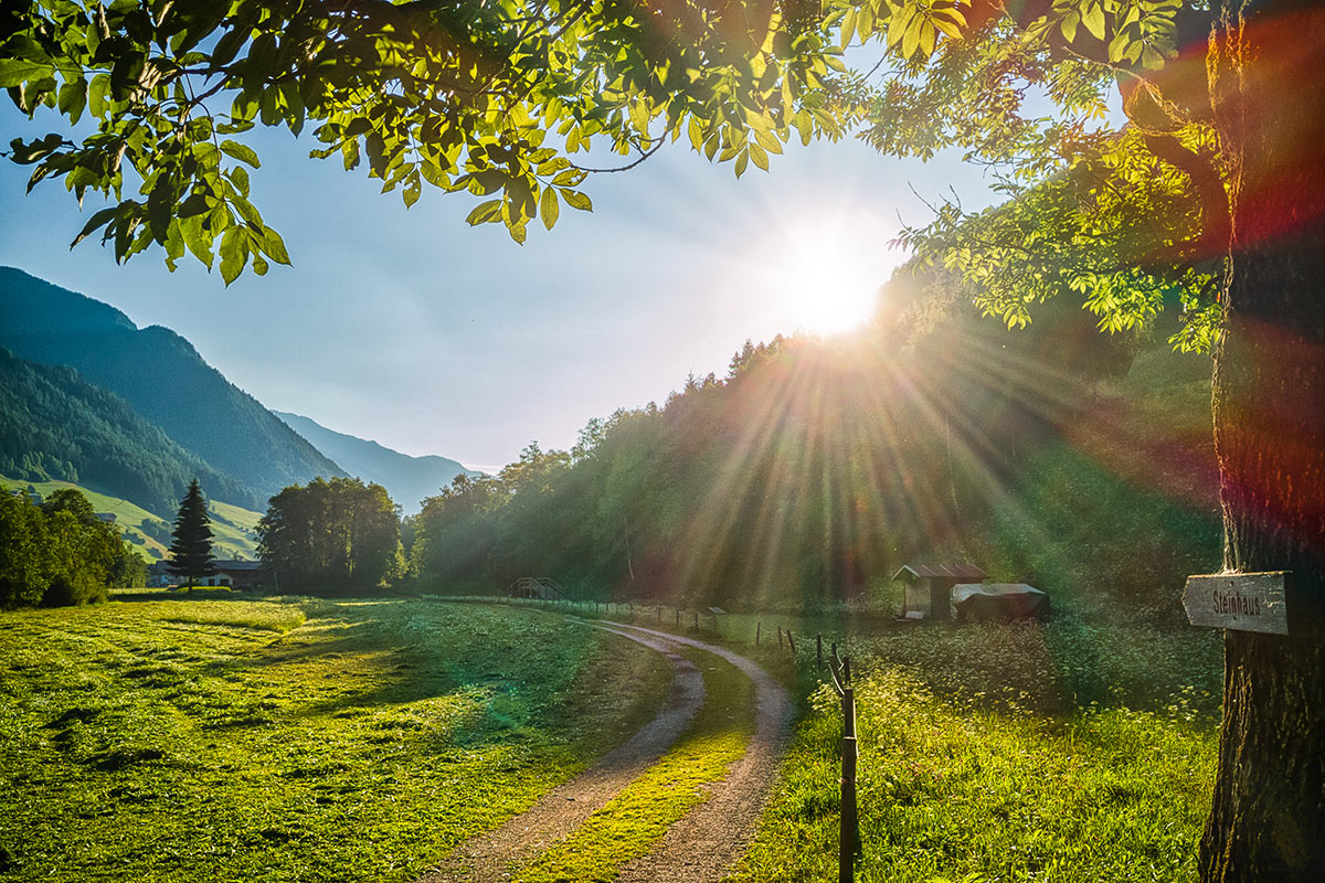 Radweg nach Steinhaus