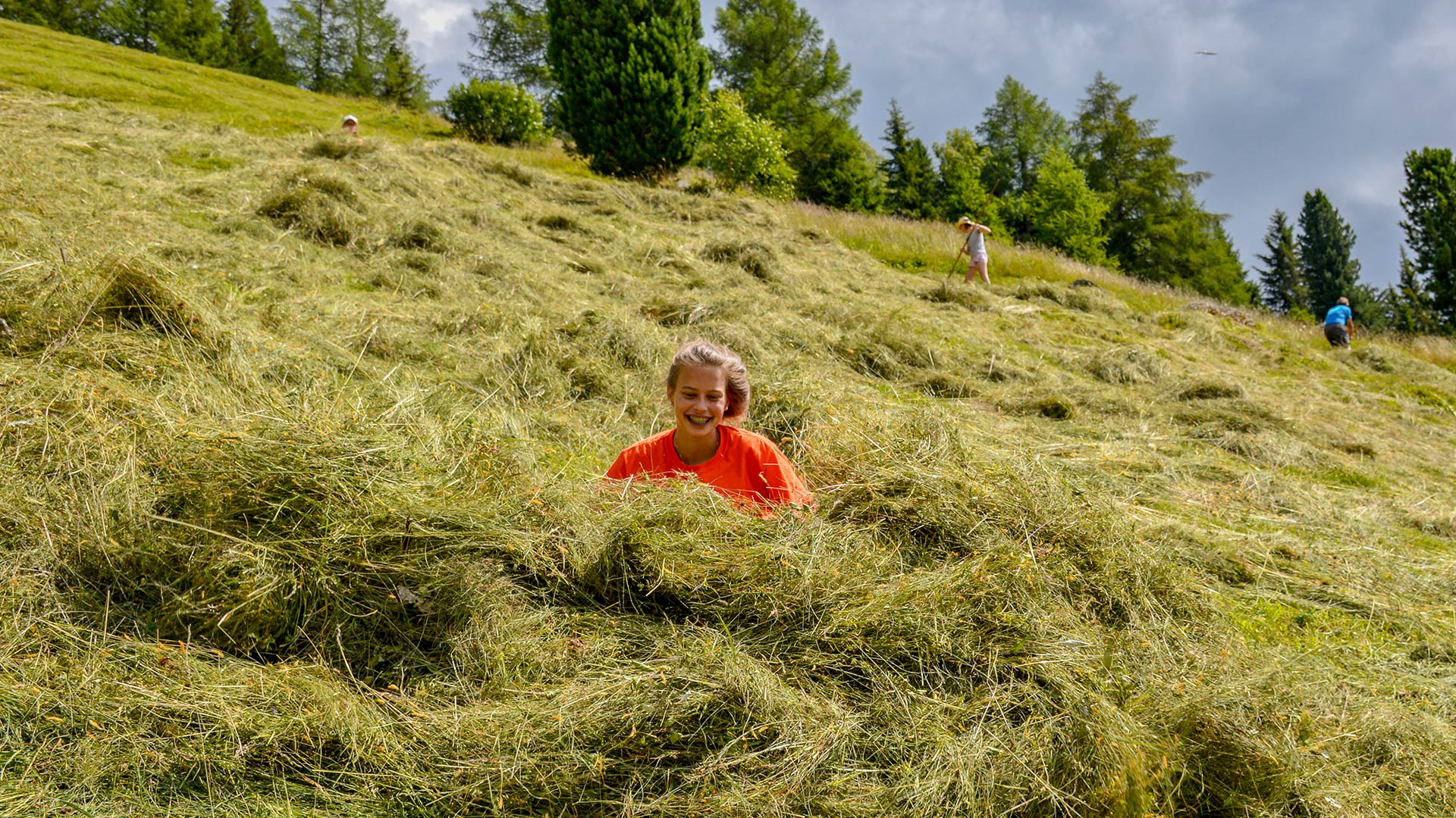 Helfer bei der Heumahd